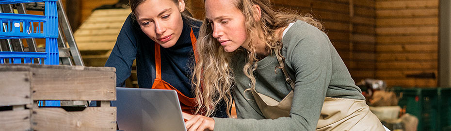 Online Banking Firmenkunden Vereinigte Volksbank Raiffeisenbank Eg